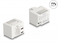 Delock Keystone Module with 2 x USB Type-C™ Charging Port PD 20 W white