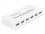 Delock USB 2.0 External Hub 10 Port