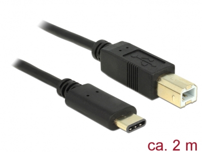 Delock Cable USB Type-C™ 2.0 male > USB 2.0 Type-B male 2.0 m black