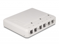 Delock Keystone Surface Mounted Box 6 Port for fiber optic and network white