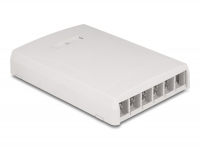 Delock Keystone Surface Mounted Box surface mounted 6 Port white