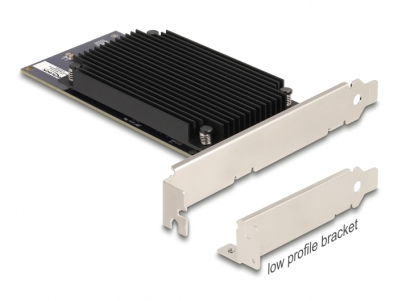 Delock PCI Express x8 Hailo-8™ AI Processor x2 AI-Accelerator