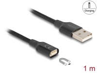 Delock Magnetic USB Charging Cable black 1 m