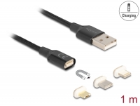 Delock Magnetic USB Charging Cable Set for 8 Pin Lightning™ / Micro USB / USB Type-C™ black 1 m