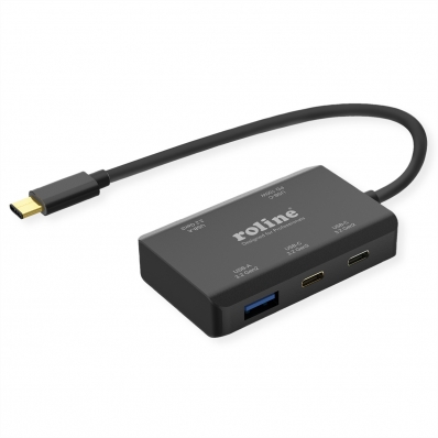 ROLINE USB 3.2 Gen 2 Hub, 4 Ports (2x A + 2x C), PD (100W)