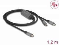 Delock USB-C™ Y-Cable 1 x male to 2 x male PD 3.0 100 W intelligent power distribution 1.2 m