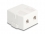 Delock Keystone Surface Mounted Box 2 Port with magnetic bottom, white