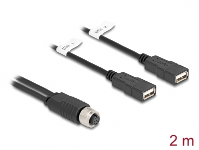 Delock M12 Cable A-coded 8 pin female to 2 x USB 2.0 Type-A female 2 m black