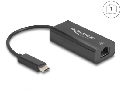 Delock USB 2.0 Type-C™ Adapter to 10/100 Mbps LAN