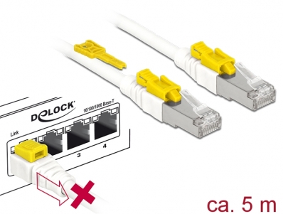 Delock Cable RJ45 Secure Cat.6A 5 m